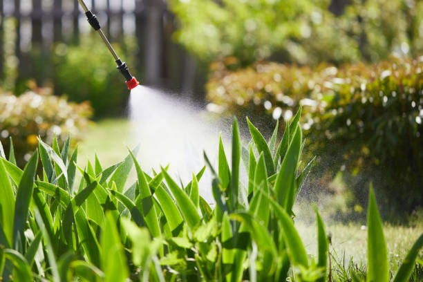 24/7 Emergency Mosquito Control experts in Salem, IN