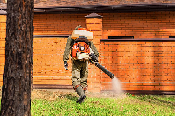 Top rated local Mosquito Control specialists in Salem, IN